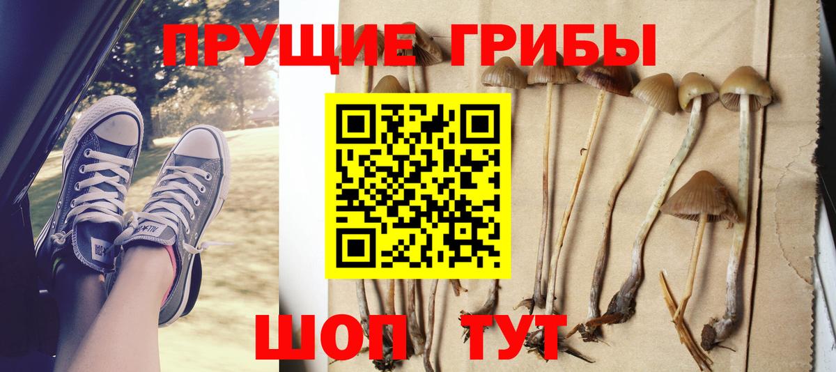 Псилоцибиновые грибы ЛСД  Вход с VPN  Железноводск  Галлюциногенные грибы ЛСД 