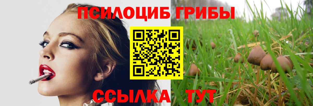 Галлюциногенные грибы MAGIC MUSHROOMS Железноводск